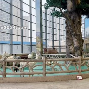 #短片 就是阿朱啊 16