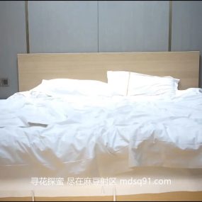 #探花 兼职网红脸