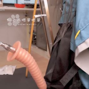 #猫と爪呸罗呸罗 希格雯 星见雅 银狼 云璃 8