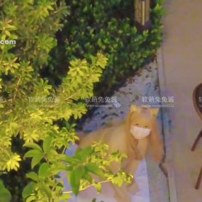 #软萌兔兔酱 爱猫人士