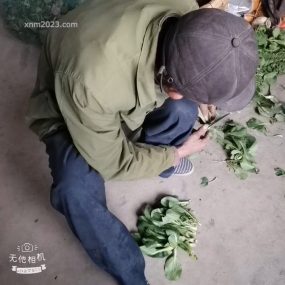 #户外勾引 #妖媚婷儿 经典户外女菩萨 33